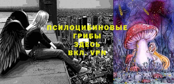 mix Переславль-Залесский