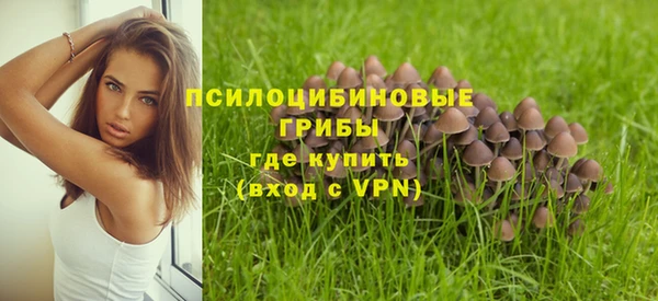 mix Переславль-Залесский