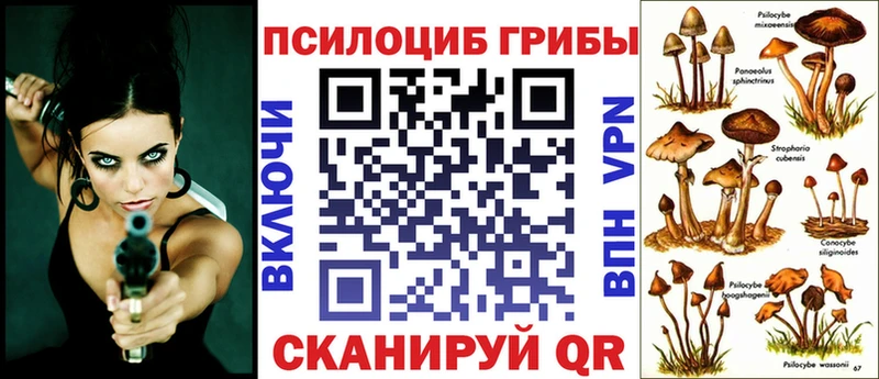 Псилоцибиновые грибы Psilocybe  Усть-Катав 